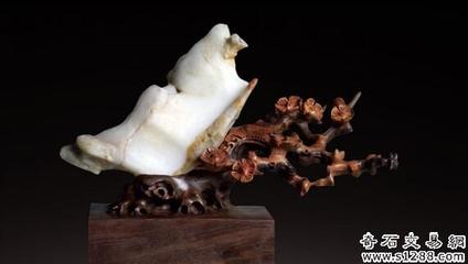 韓國石友首次亮相銀川賞石旅游節，助力石材文化交流與市場拓展